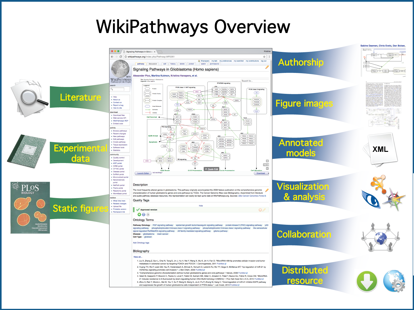 WikiPathways Ins & Outs