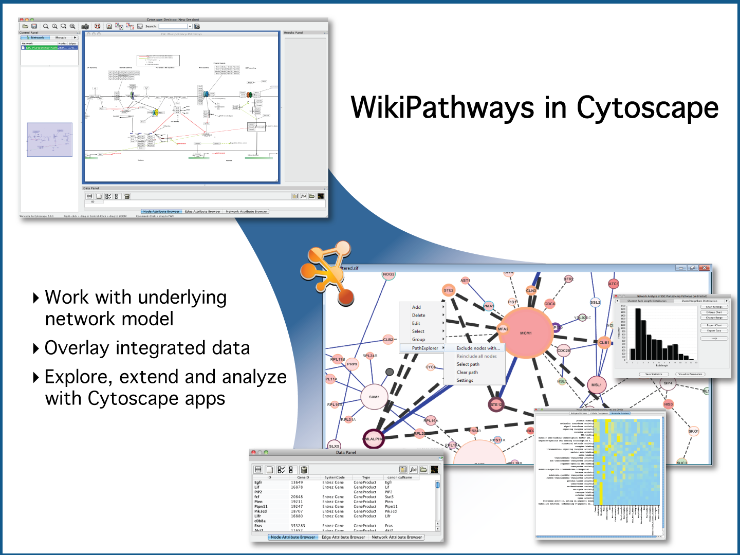 WikiPathways in Cytoscape