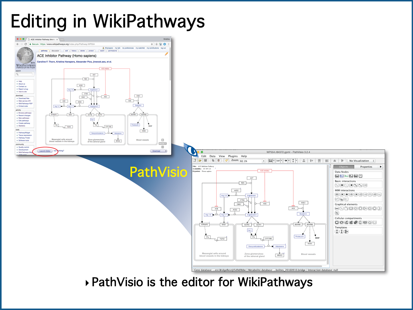 WikiPathways Editing
