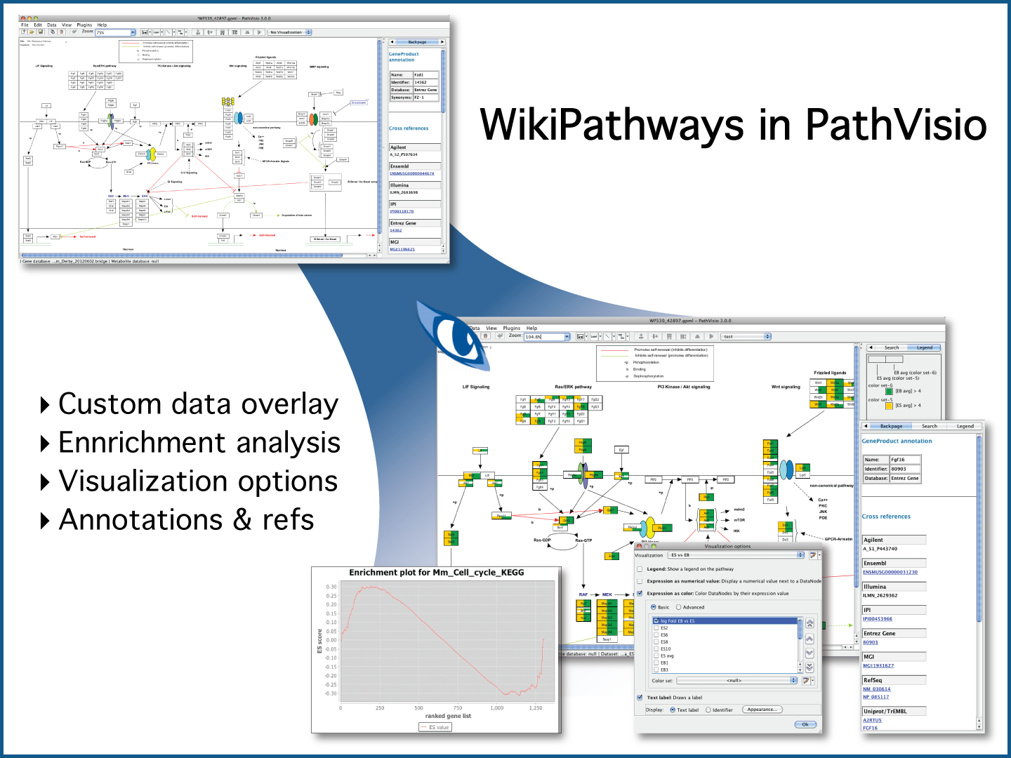 WikiPathways in PathVisio