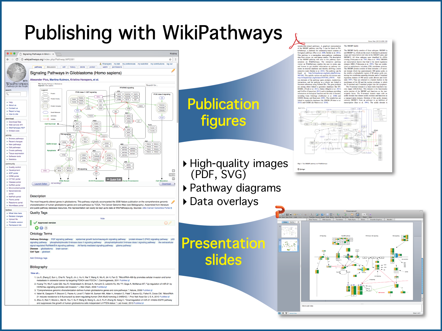 Publishing with WikiPathways